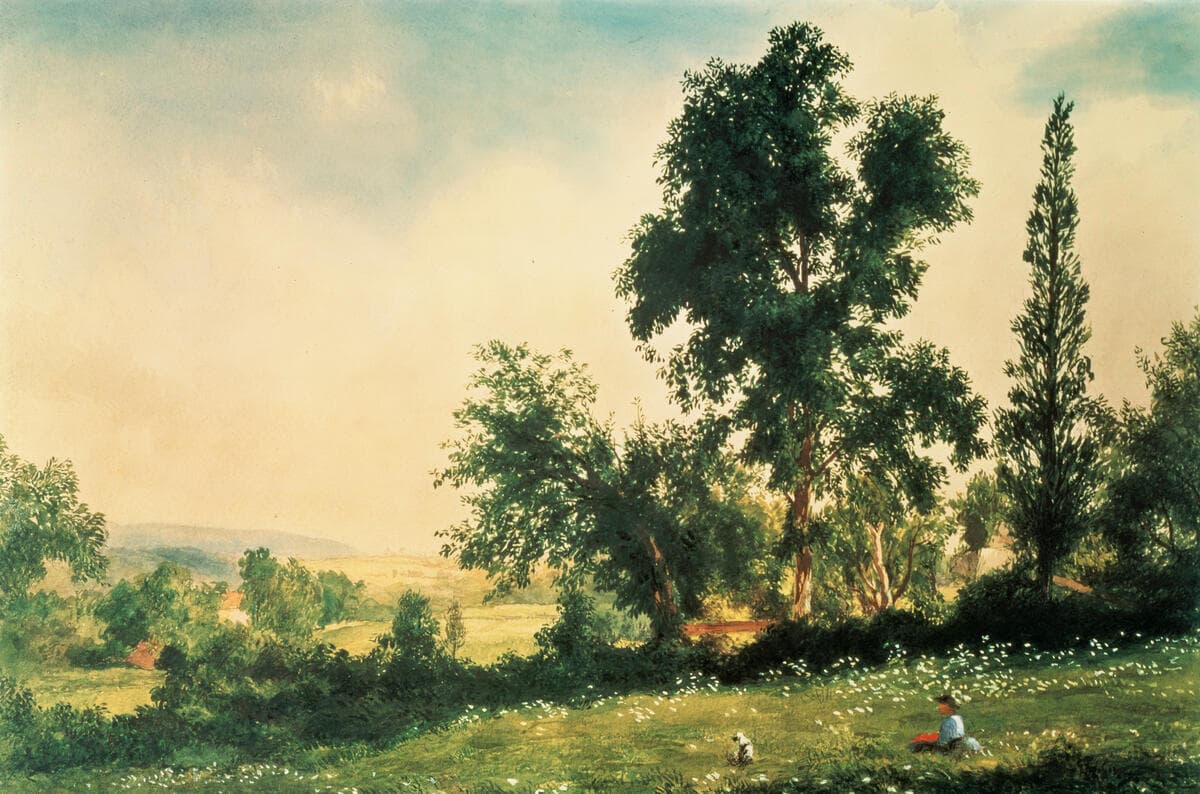 Child in the Field, Rockland County, New York