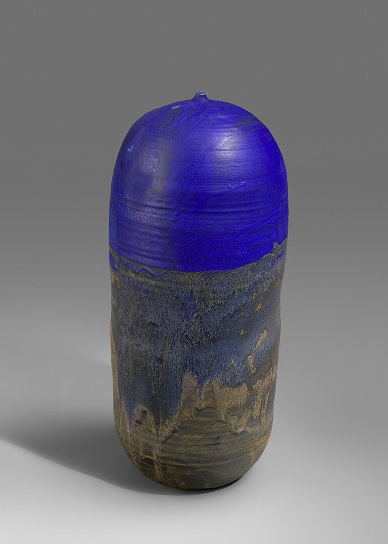 Form Blue #31