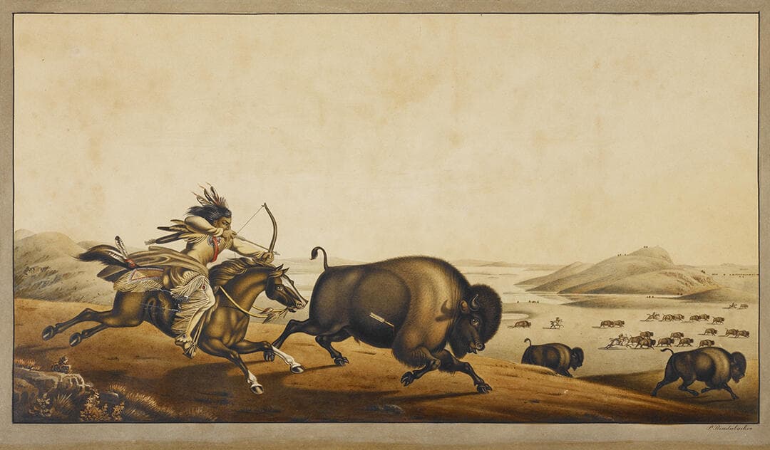 Buffalo Hunt.  Summer Scene of an Assiniboine Indian Hunting on Horseback