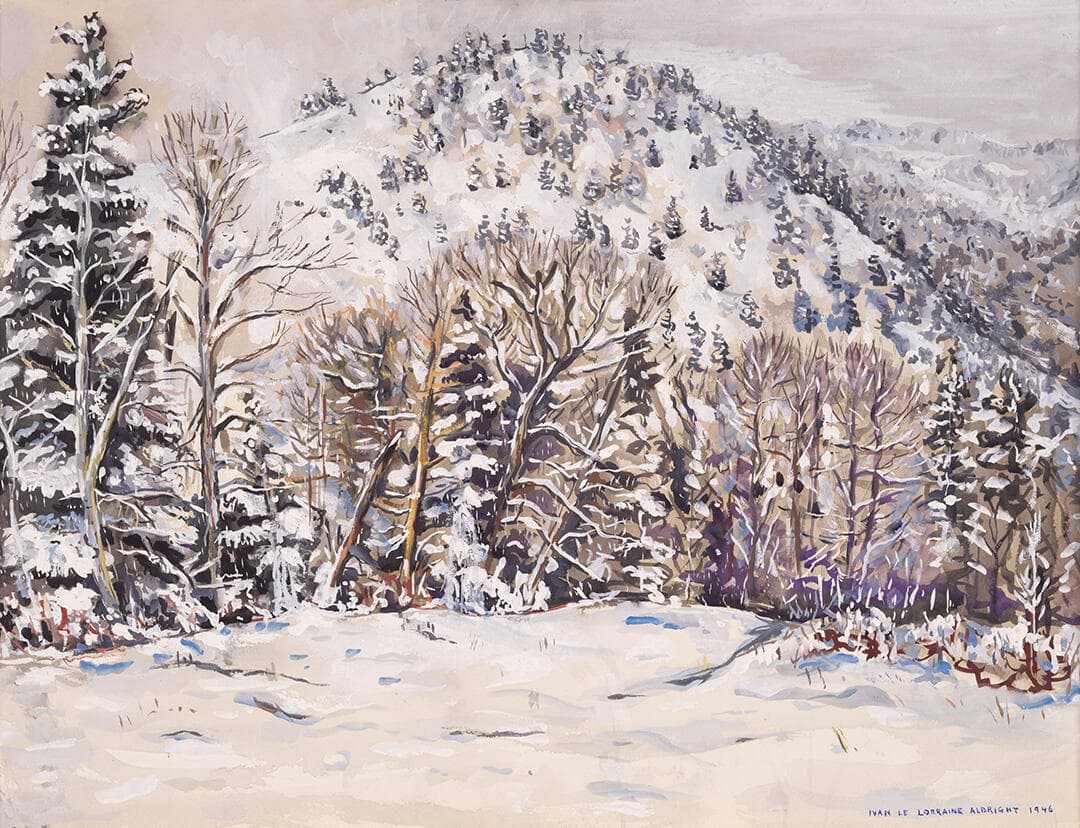Pine Trees Rising Through Falling Snow
