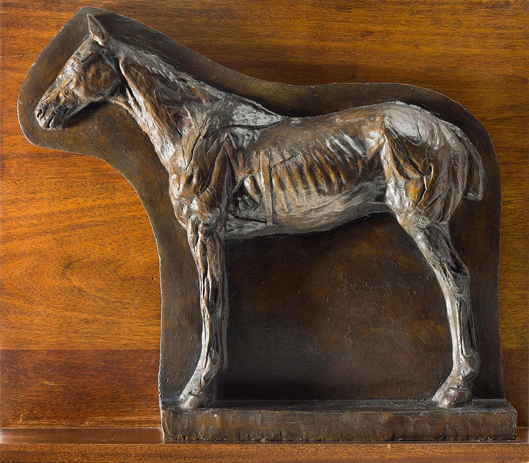 Écorché: Relief of a Horse (Josephine)
