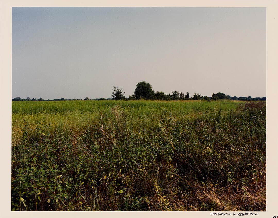 Rohwer, Japanese-American Concentration Camp, Arkansas, August 28, 1993/R-3-6-95