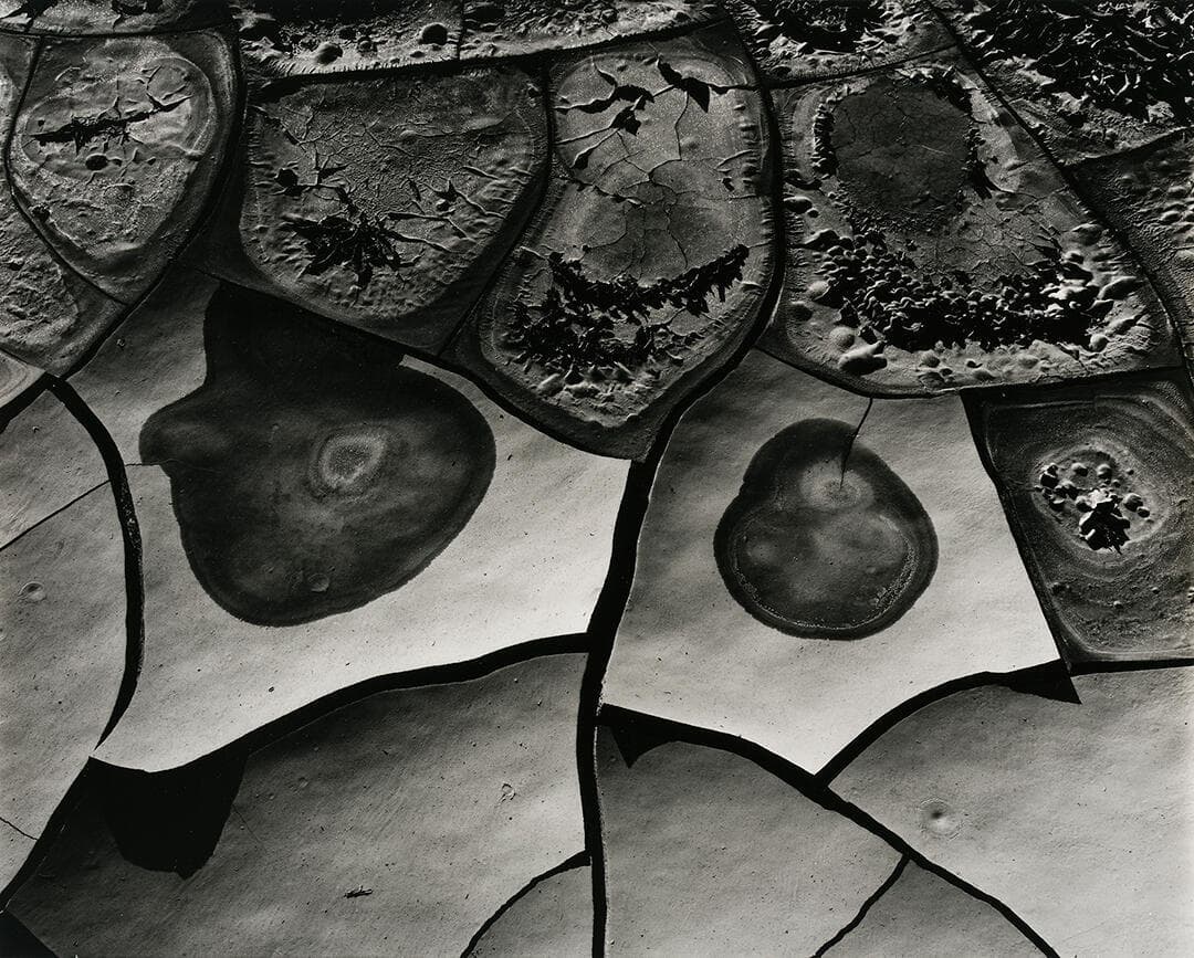 Mud Cracks