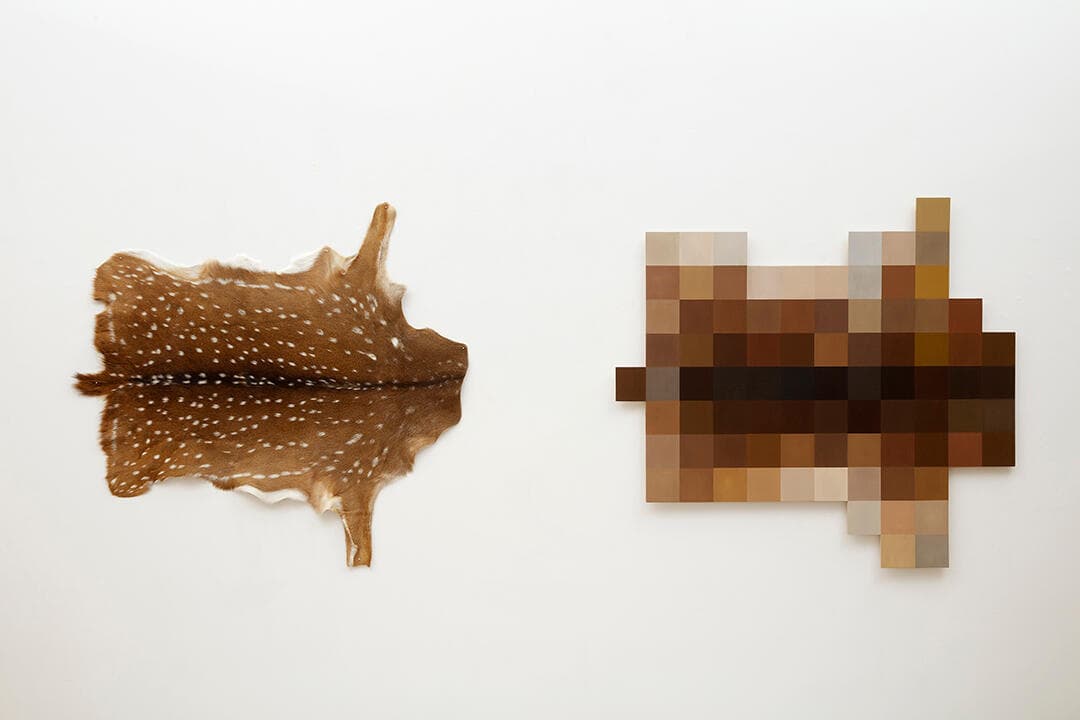 Nicholas Galanin