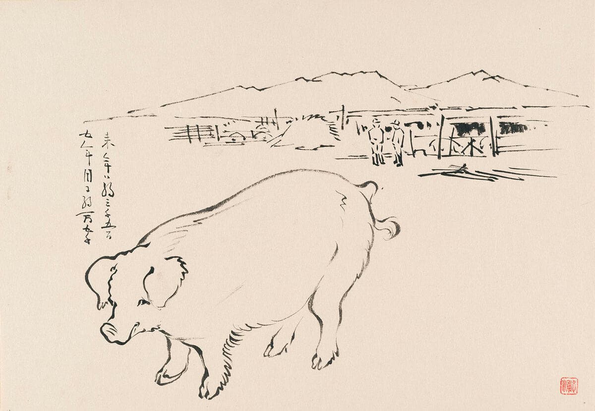 Pig, at Topaz Pig Farm