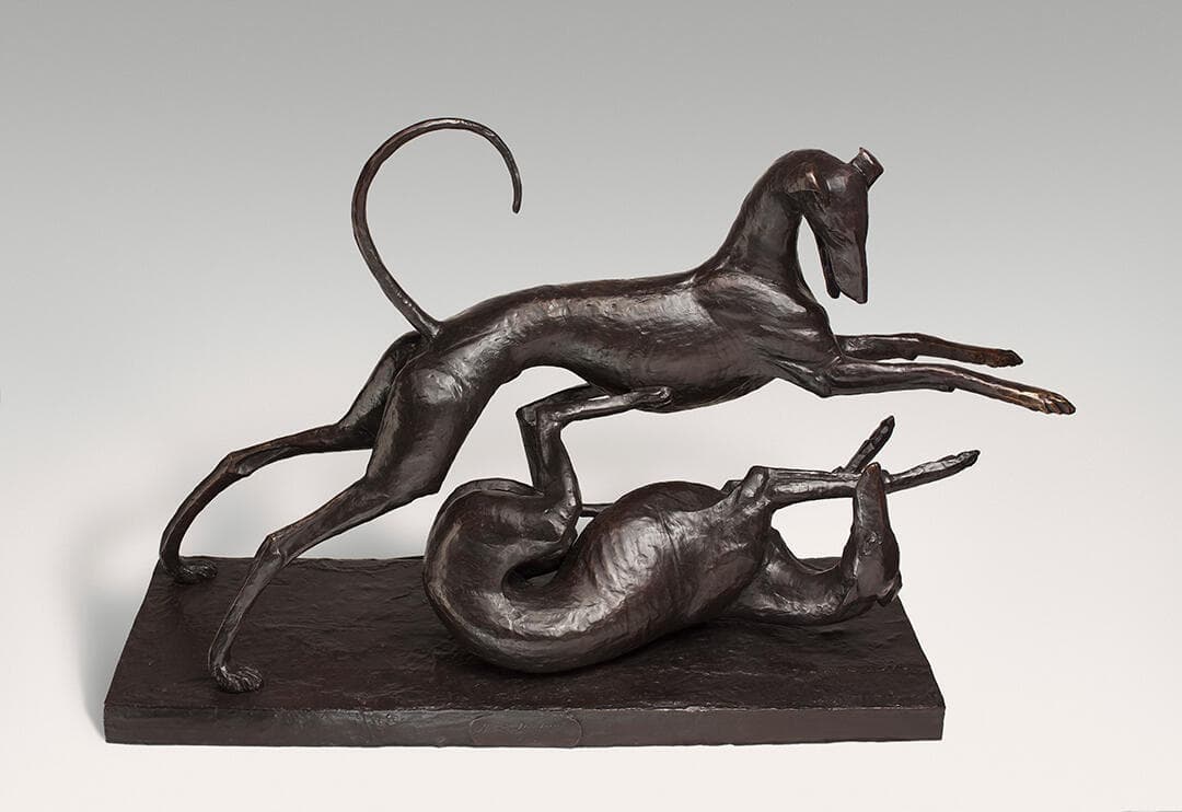 Greyhounds