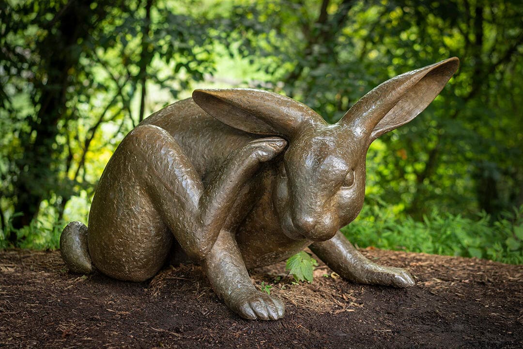 Tortoise and Hare