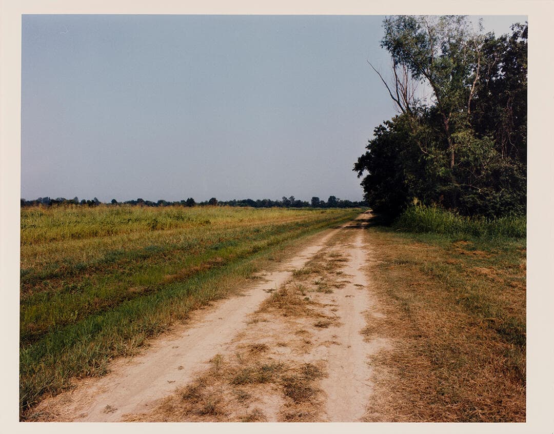 Rohwer, Japanese-American Concentration Camp, Arkansas, August 28, 1993/R-2-6-94