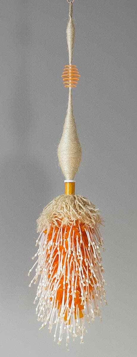 Hooked on Svelte: Long toothed orange