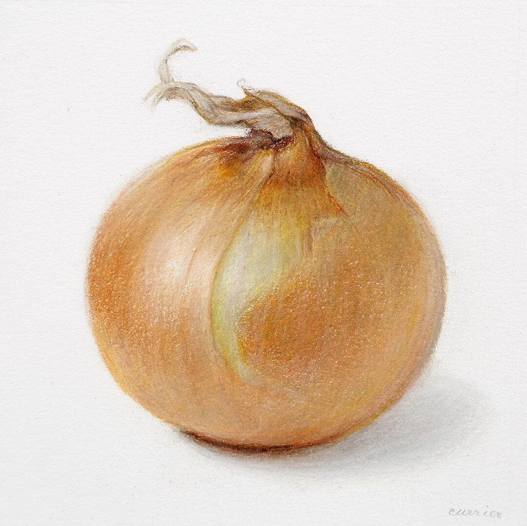 Onion