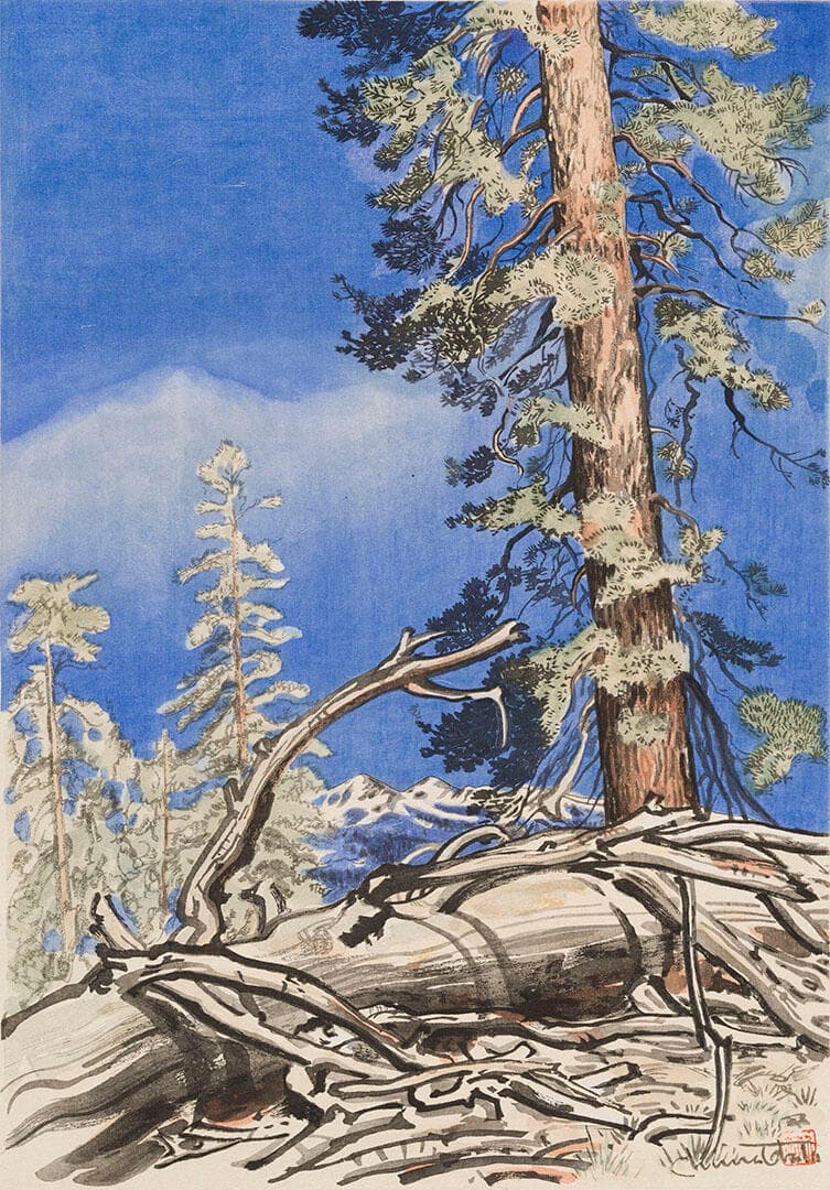 Life and Death, Porcupine Flat