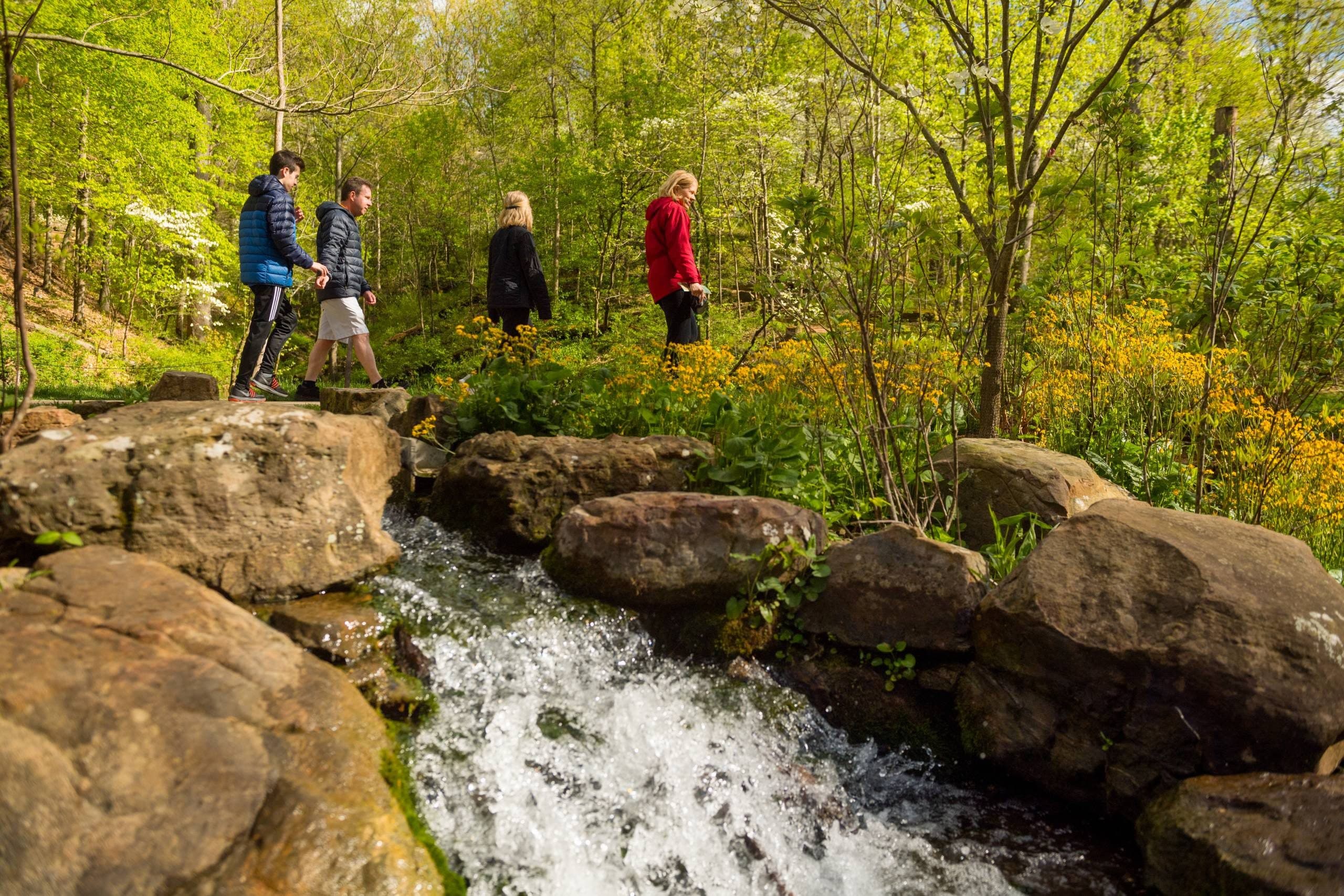 Hikers Walking Along Stream in Forest
