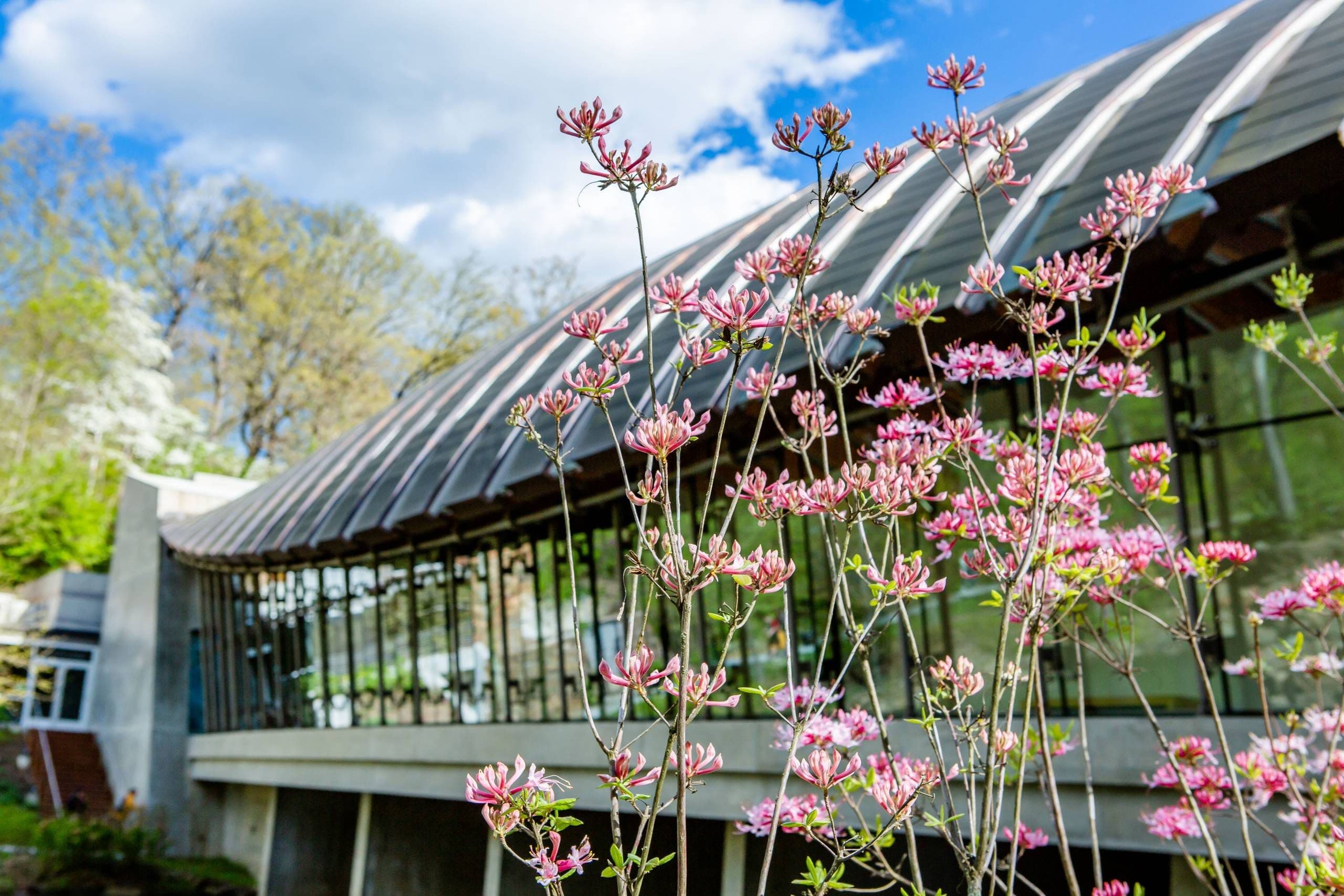 Spring at Crystal Bridges