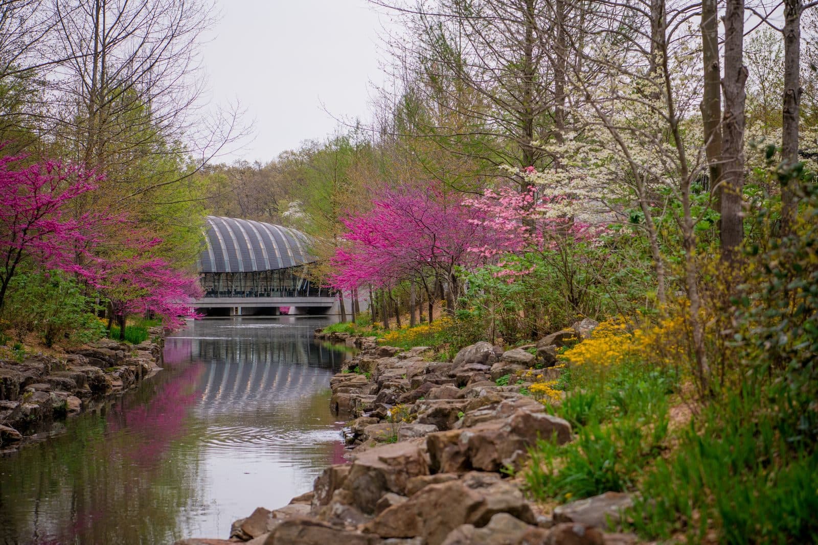 Flowers at CB