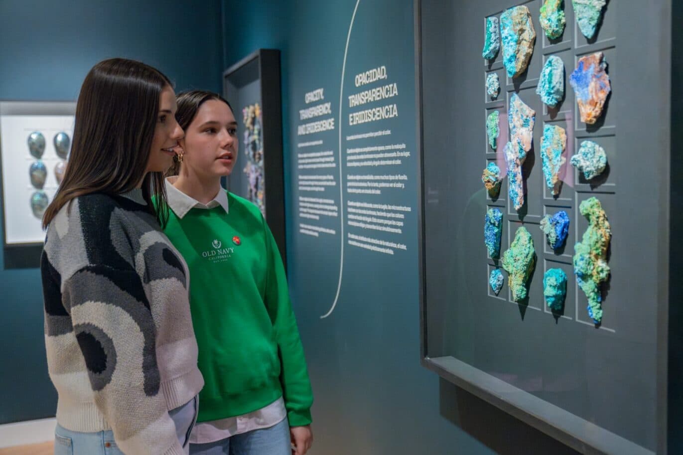 Guests Viewing Exquisite Creatures