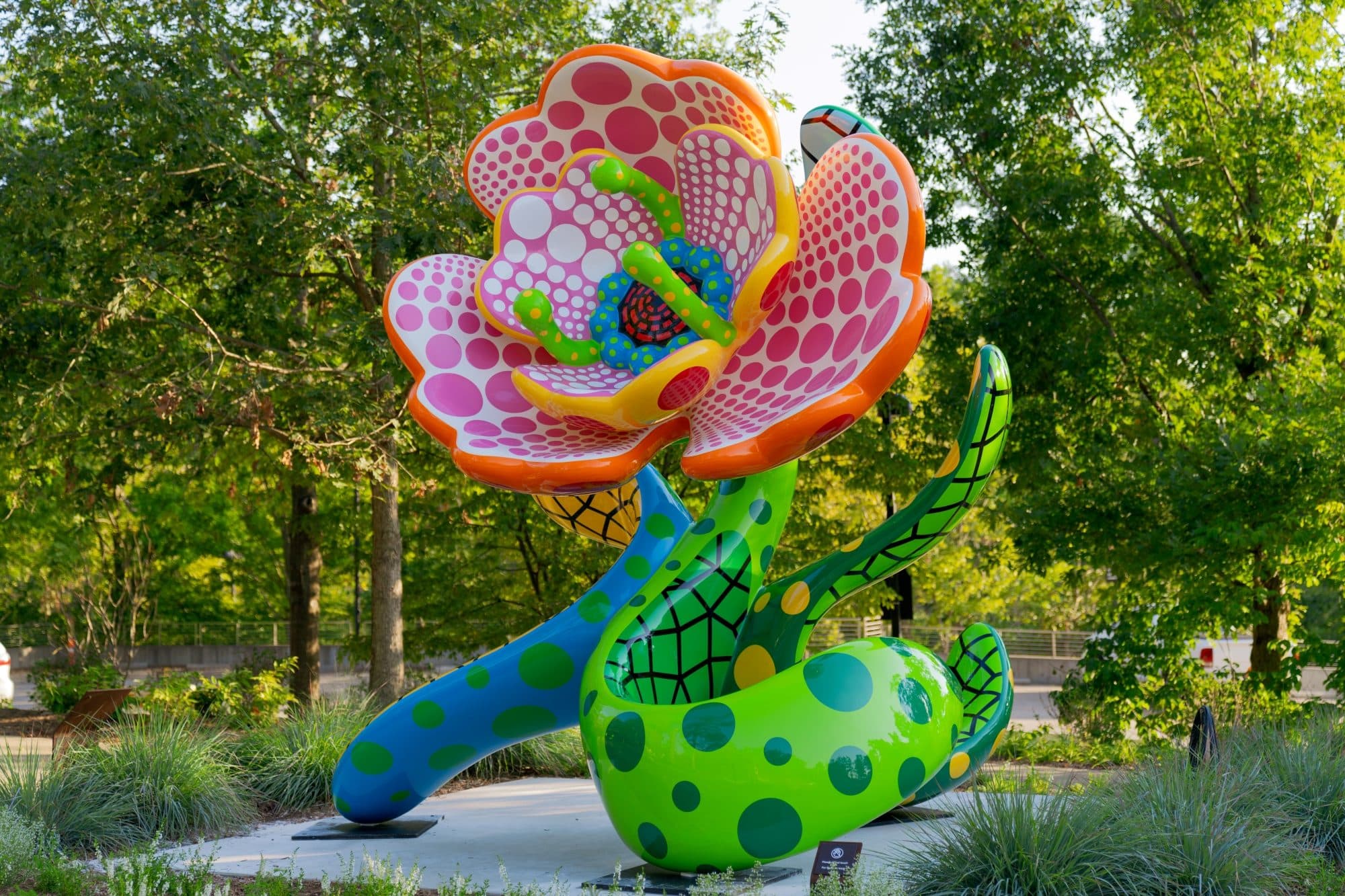 Flores de Kusama en los senderos